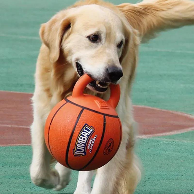 Dog-Toys-Bite-Resistant-Pet-Toy-Ball-Rubber-Handle-Interactive-Training-Medium-and-Large-Dog-Pet.jpg
